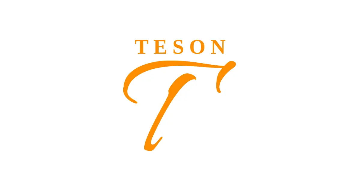 Welcome to Teson: Your Trusted Partner in IT Solutions and Consulting